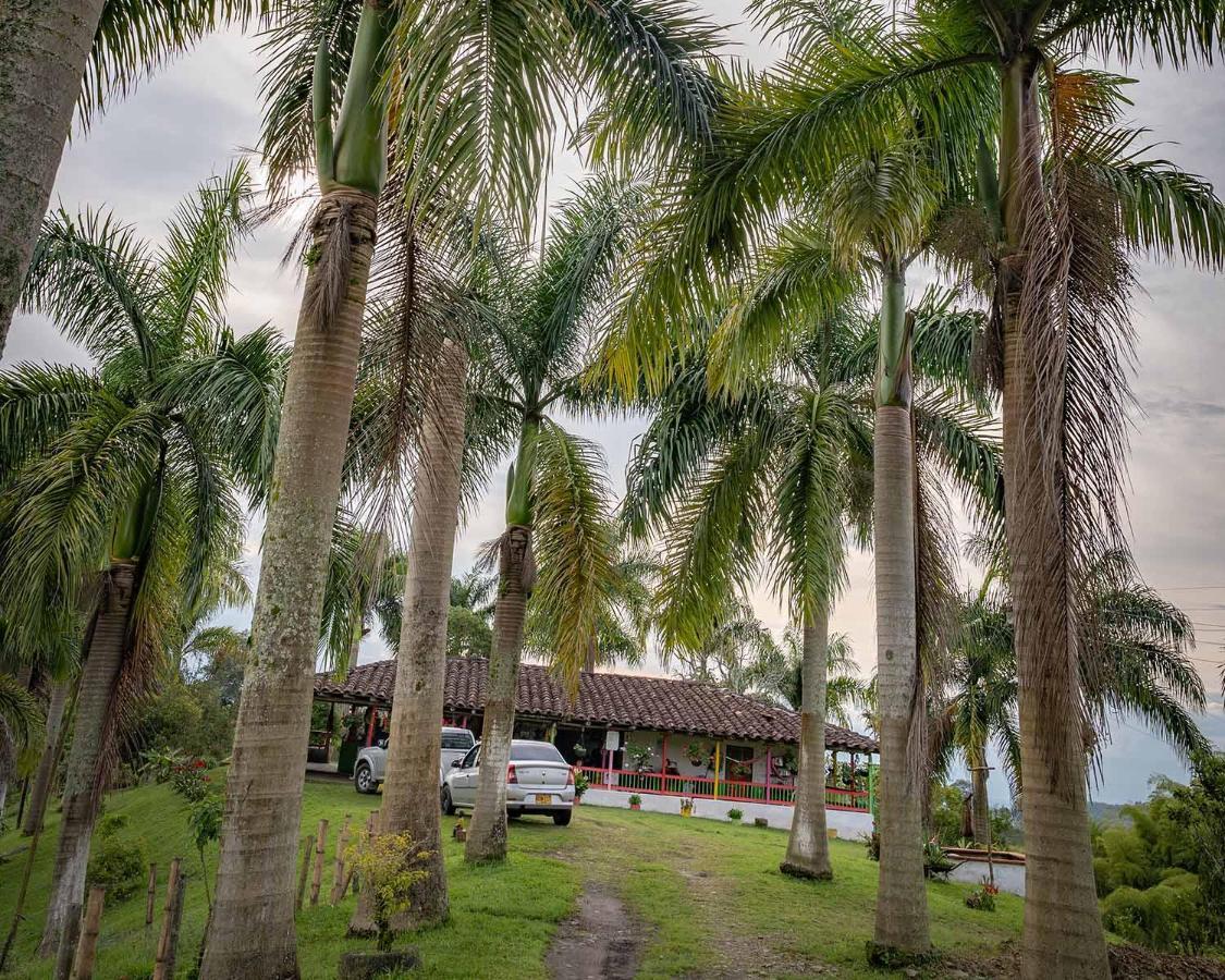 Rancho Chihuahua Hotel Filandia Exterior foto